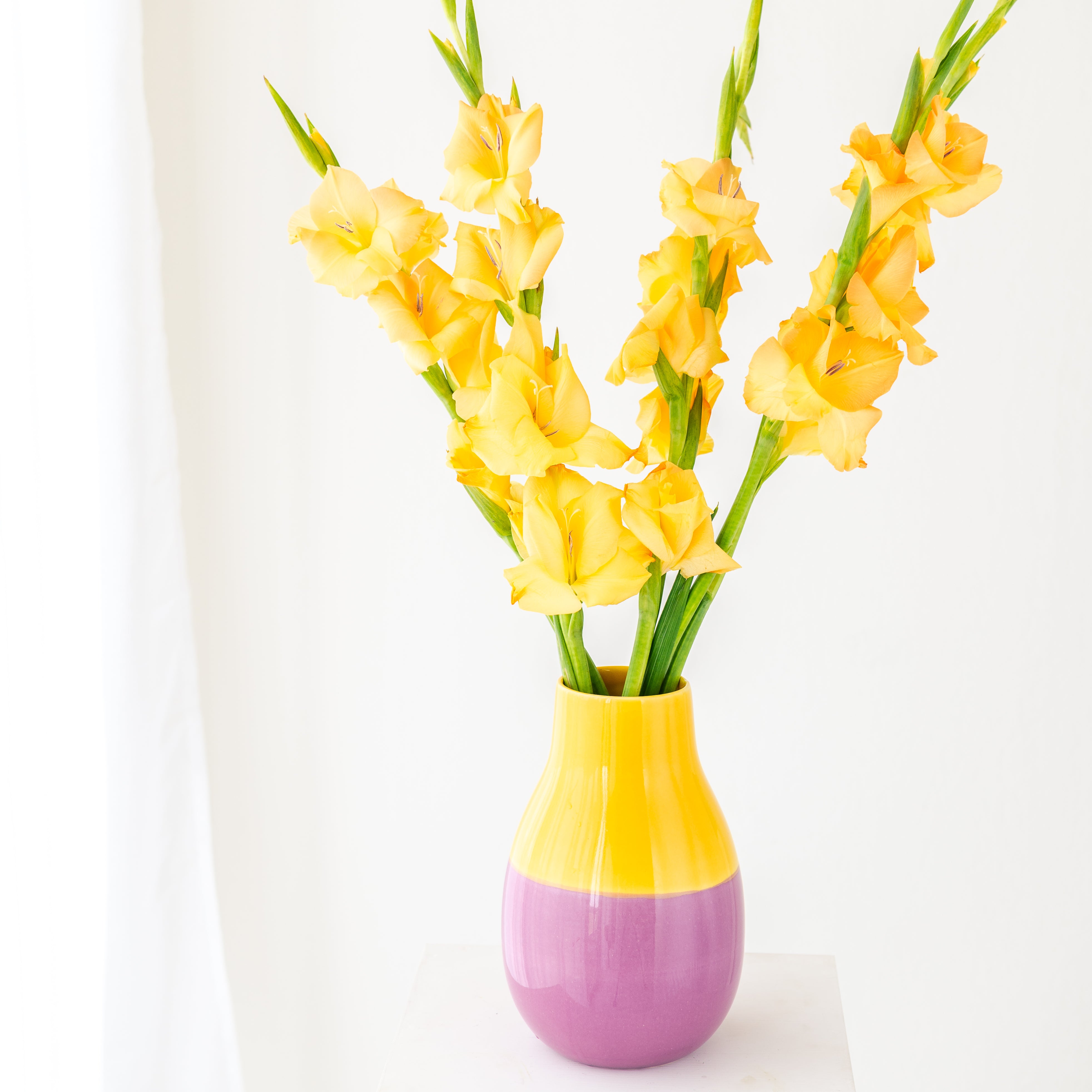 Vase Viseu